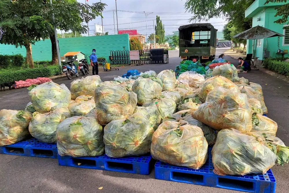 Biên phòng TPHCM tiếp nhận 4 tấn rau củ quả hỗ trợ cho người khó khăn ảnh 1