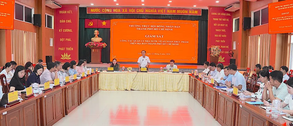 Đồng chí Huỳnh Thanh Nhân phát biểu chỉ đạo tại buổi giám sát. QUANG HUY