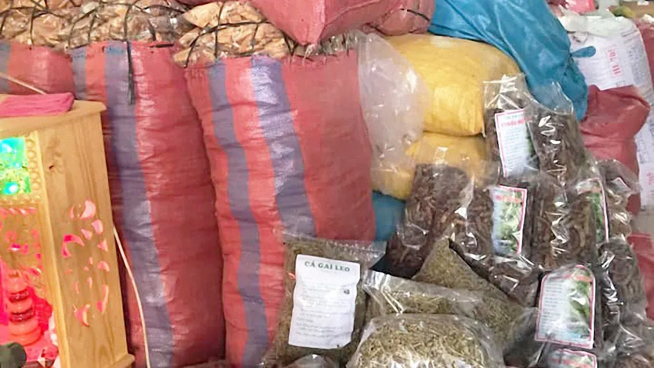 Tiền mất tật mang với “thuốc gia truyền” trên mạng ảnh 1