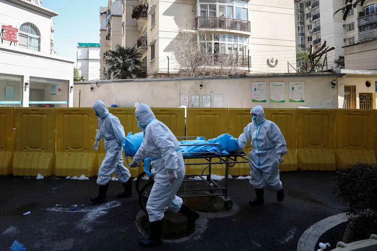 Hai hành khách trên tàu  Diamond Princess tử vong do Covid-19 ảnh 2