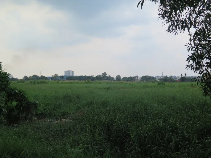 Toàn cảnh dự án