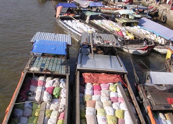 Mekong Delta farmers suffer rice crop failure, low price ảnh 2