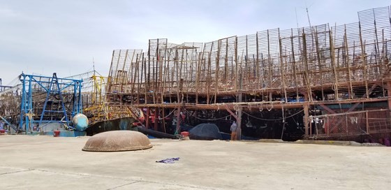 Dried squids unsalable as Chinese traders change buying method ảnh 1