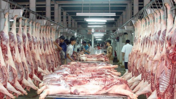 An important reason that made CPI strongly increase was a sharp decline in pork supply which caused prices of pork and pork products to jump heavily. (Photo: SGGP)