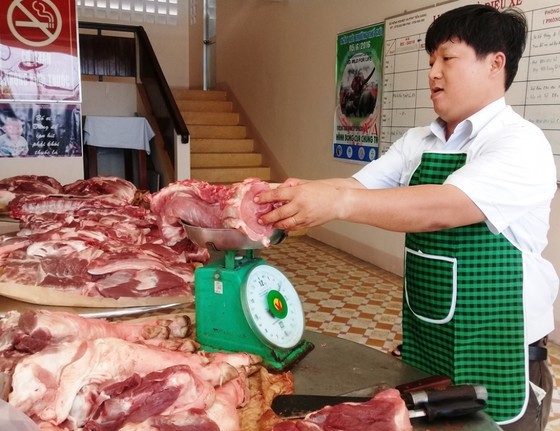 Mekong Delta provinces struggle to repopulate pig herds ảnh 1