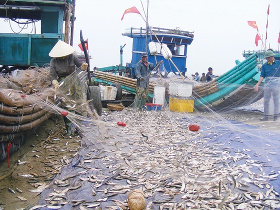 Gifts from the Sea in early summer ảnh 4