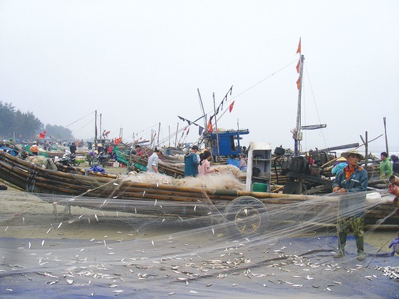 Gifts from the Sea in early summer ảnh 6
