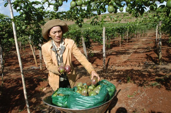 Enterprises ready to take advantage of EVTFA ảnh 1