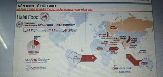 Overseas Vietnamese seek to export farm produce, medical equipment amid Covid-19 ảnh 1