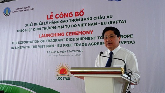 First batch of fragrant rice in An Giang Province to be exported to EU ảnh 2