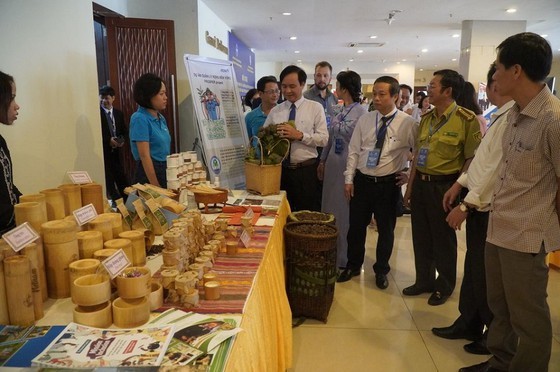 Quang Tri Province receives VND1.2 trillion of non-refundable aid ảnh 1