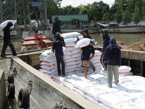 Imported sugar hurts its domestic counterpart ảnh 1