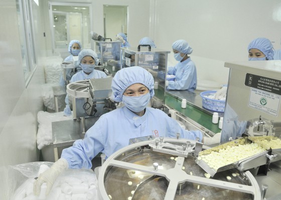 Government needs to be more drastic to save businesses ảnh 1