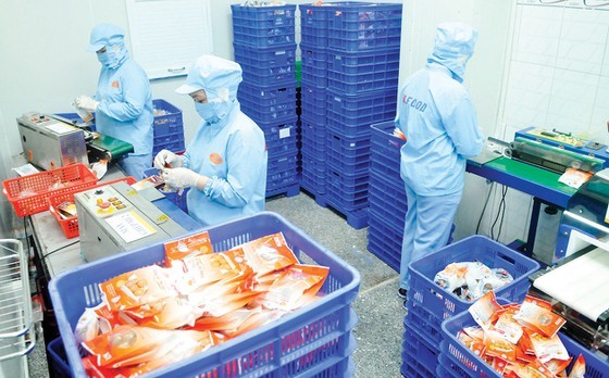 Enterprises launch programs to boost purchasing power for Tet goods ảnh 1
