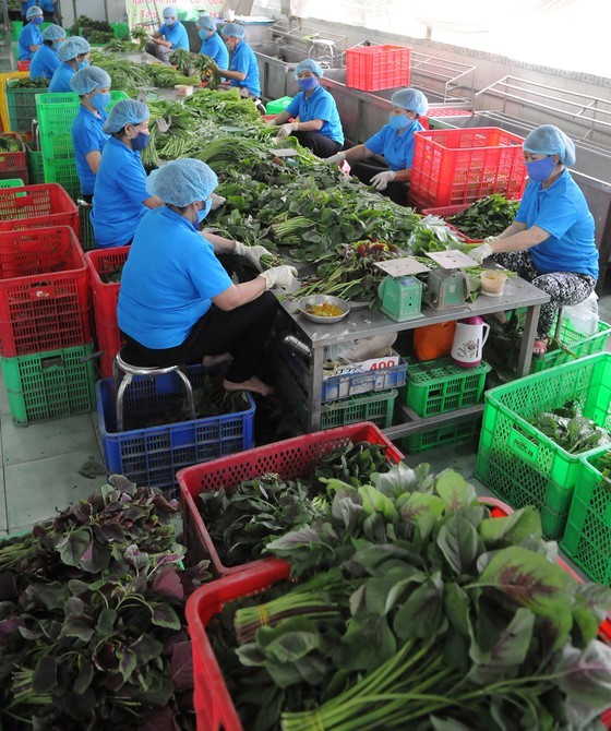 Domestic food manufacturers capable of competing with foreign ones ảnh 1