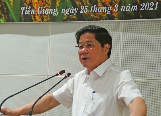 Rice production efficiency of eight provinces in Mekong Delta improved ảnh 3