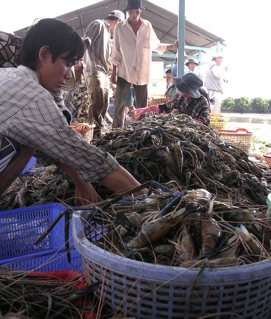 Adoption of high technologies needs promoting for sustainable agriculture ảnh 2