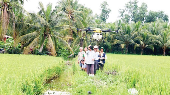 Agricultural production in Mekong Delta amid age of digital transformation ảnh 1