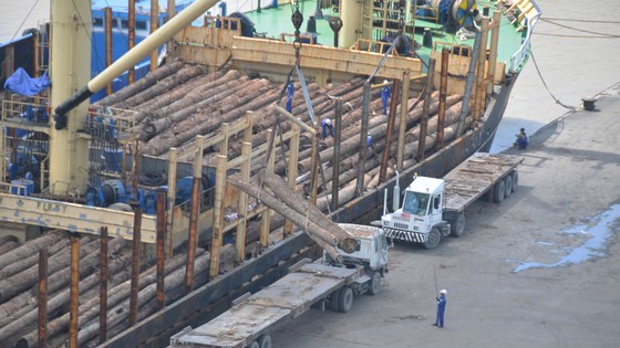 Development of logistics industry needs outstanding mechanism, policy support ảnh 3