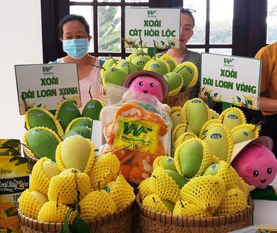 Global market remains potential for Vietnam's mango industry ảnh 2