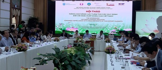 Global market remains potential for Vietnam's mango industry ảnh 1