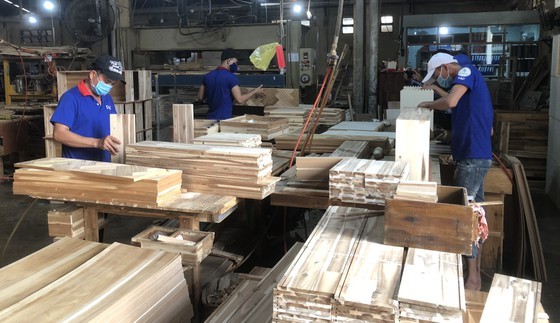 Opportunities to develop agricultural materials domestically ảnh 1