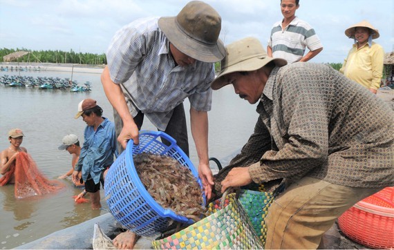 Halal food market: great opportunity for Vietnamese agricultural products ảnh 1