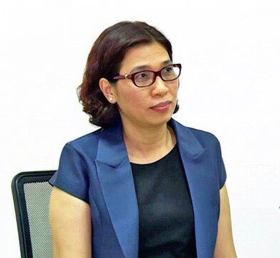 HCMC aims to achieve disbursement rate of public investment at above 90 percent  ảnh 1