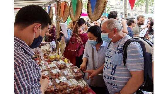 Vietnamese lychees confident of winning over consumer taste in Netherlands ảnh 1