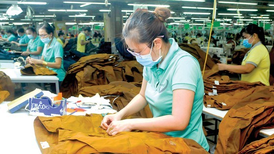 HCMC continues to post economic growth ảnh 2