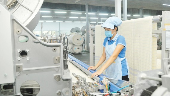 HCMC continues to post economic growth ảnh 1