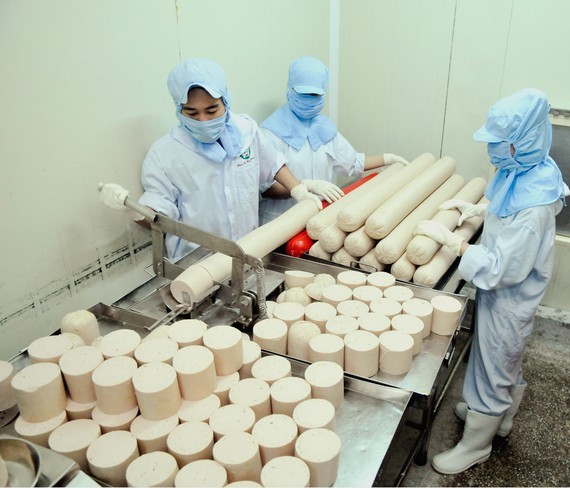 Banks direct credit flow into manufacturing, business sectors ảnh 1