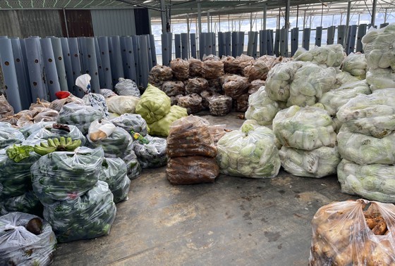 Zero-dong vegetables massively flock to HCMC from Da Lat ảnh 9