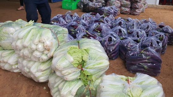 Zero-dong vegetables massively flock to HCMC from Da Lat ảnh 5