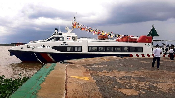Zero-dong vegetables massively flock to HCMC from Da Lat ảnh 11