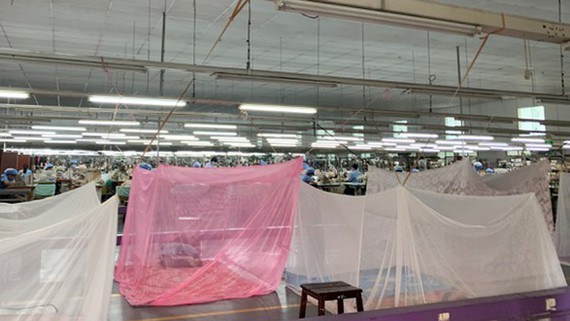 Enterprises increase supply capacity of goods ảnh 1