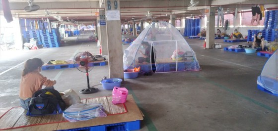 Enterprises need urgent support ảnh 1