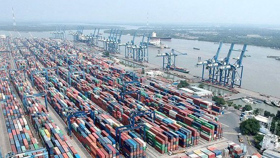 Tan Cang Cat Lai Port temporarily suspends receipt of goods ảnh 1