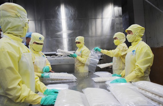 Mekong Delta provinces strive to maintain advantage of shrimp industry ảnh 1