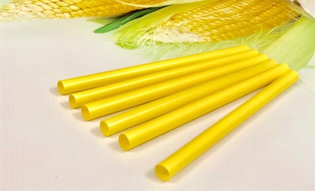 Bioplastic start-up begins green journey ảnh 2