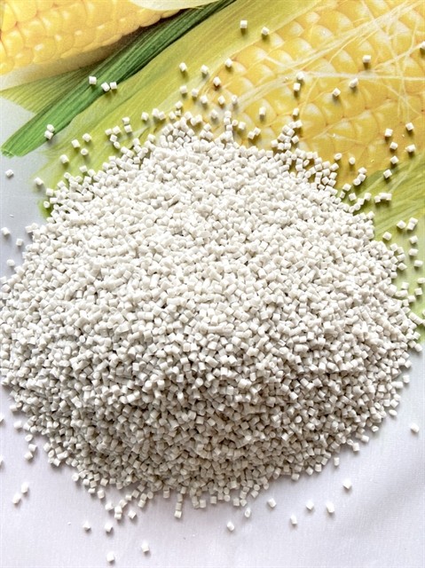 Bioplastic start-up begins green journey ảnh 1