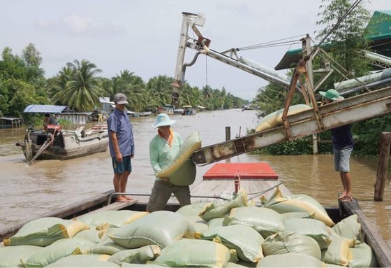 MoIT proposes two solutions to resolve rice congestion in Mekong Delta ảnh 1