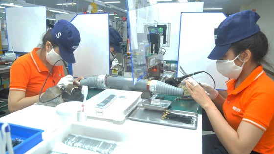 Driving force needed for economic recovery in HCMC after Covid-19 pandemic ảnh 3