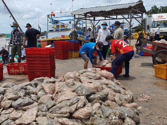 Mekong Delta provinces restart production chains ảnh 1