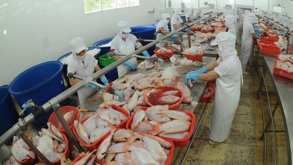 Enterprises strive to resume export orders ảnh 1