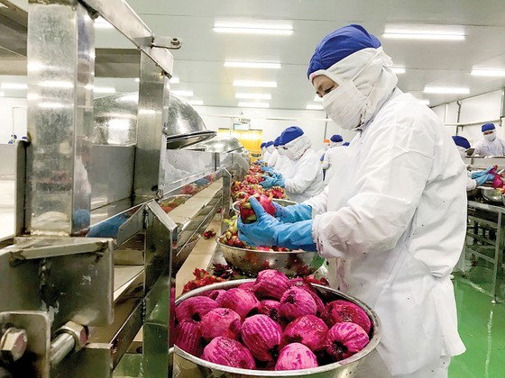 Agricultural by-products: a wasted gold mine ảnh 2