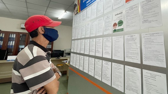 Labor market becomes vibrant again ảnh 1