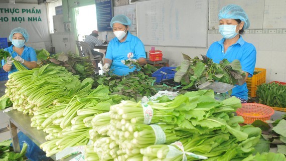 Prices of vegetables, fresh foods escalate ảnh 1