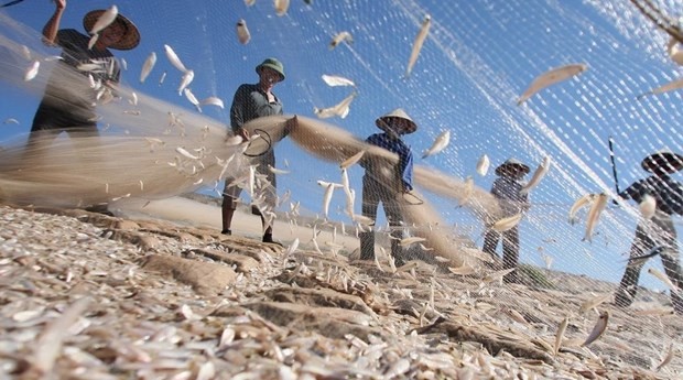 Suggestions made for sustainable development of maritime economy ảnh 1