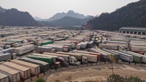Authorities join hands to quickly resolve truck backlog at Northern border gates ảnh 1
